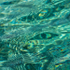 WATER SPIRITS - GEORGIAN BAY