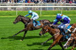 Race 3 15.00pm British EBF Fillies' Handicap portfolio