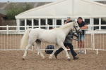 SBM_08493