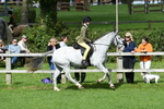 SBM_46879