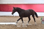 BPP_1579