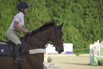 Saturday 9th - Western Counties Arena portfolio