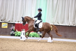 SBM_008429