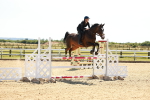 SBM_007014