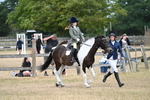 WJ7_1261