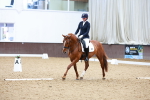 SBM_001992