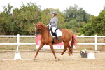 SBM_007556