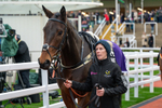 161125-Race 5-Dedicated Hero-1700