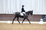 Class 7-12 - TQ U21 Intro C-TQ Open Novice 30 portfolio