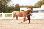 SBM_16314
