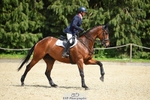 160-SWHISKEY-Jeanette_Brakewell-SUNTrotUp+SJ portfolio