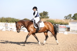 SBM_01788