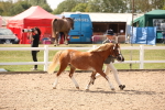 SBM_04561