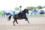 SBM_09115