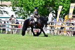 SBM_07985