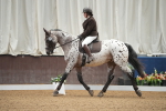 SBM_001902