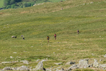 Duddon Short-2
