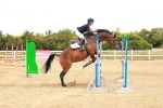 SBM_006290