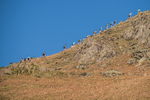 Elterwater-641