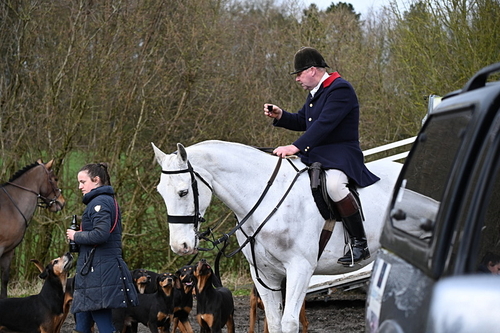 WJ6_8532