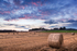 Hay Bales at Sunset