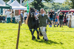 Loweswater Show-24