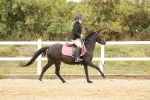 SBM_007212