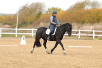 SBM_000979