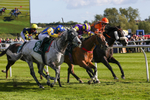 Race 8 portfolio