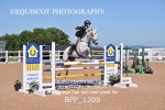 BPP_1308