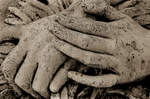 HANDS