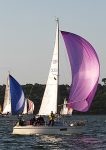 100619 GBR3394 IMG_2724