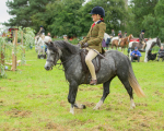 Dunblane show-50