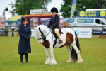 SBM_00968