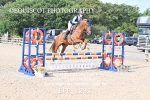BPP_1293