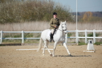 SJ3_1193