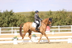 SBM_015085