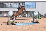 BPP_8658