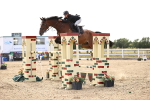 SBM_004709