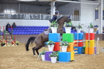 SBM_001797
