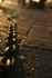 Hotwells chain _B071
