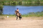 WJ6_8761