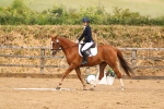 SBM_002293