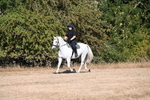 WJ6_6985