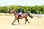 SBM_007082