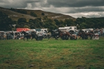 DSCF7286
