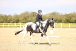 SBM_007979