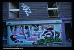 Bd45 tags