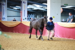 SBM_17202