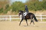 SBM_000675